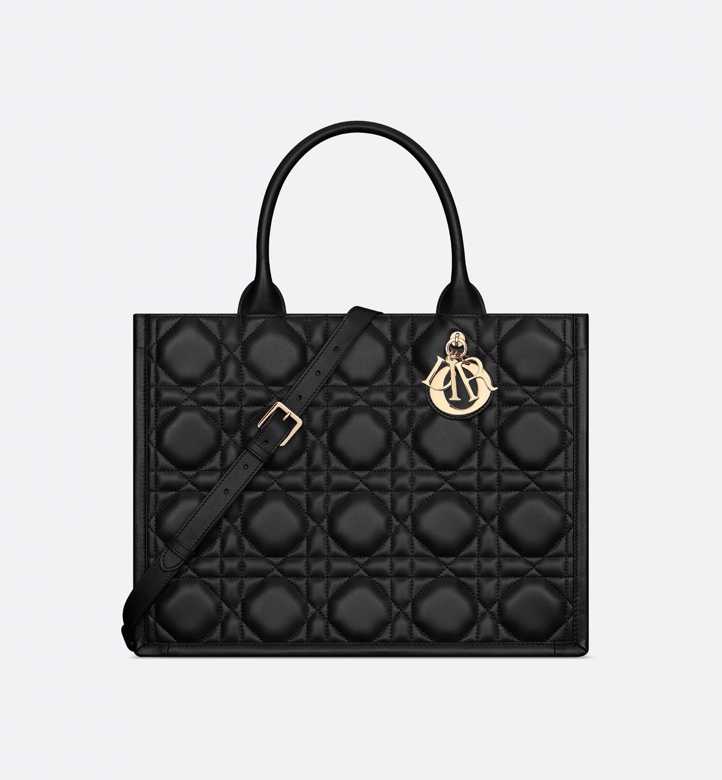 Medium Dior Book Tote Black