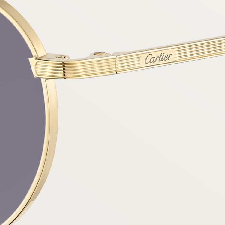 Herren-Sonnenbrille Signature C de CT mit hellgrauen Gläsern