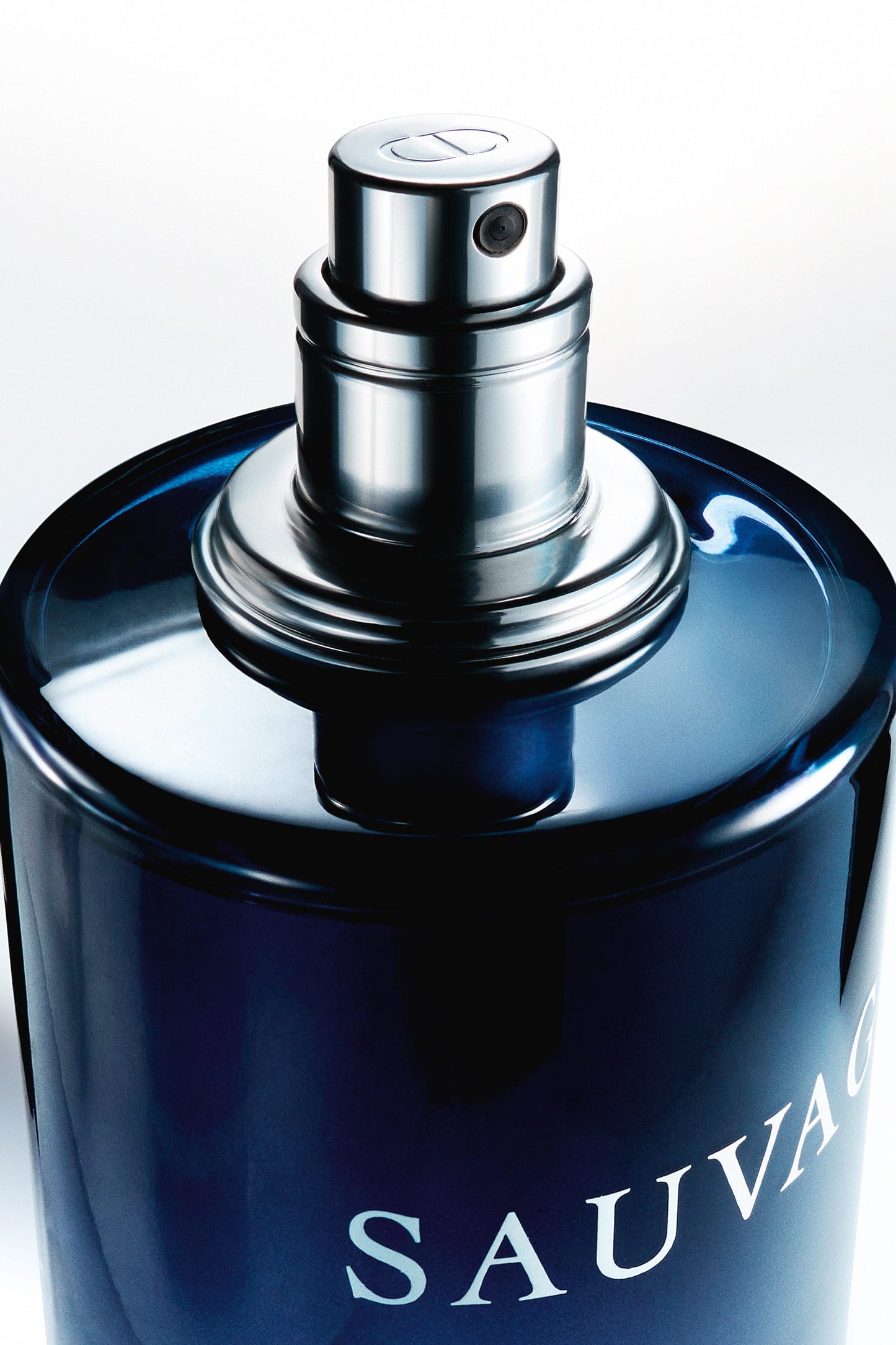 Sauvage Eau de Parfum 100 ml