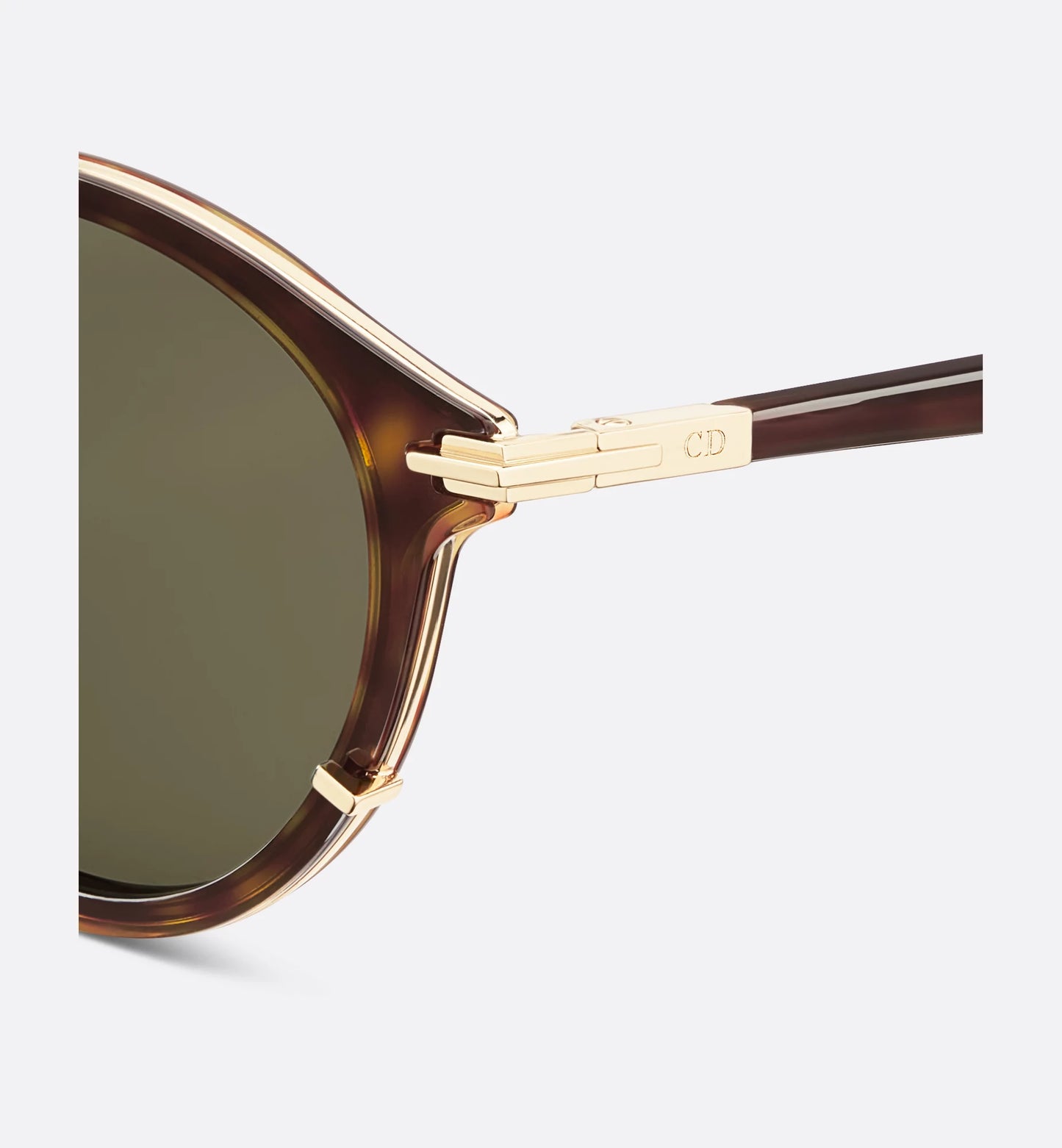 BlackSuit R7U Pantos Sonnenbrille Braun Schildpattoptik Bioacetat Herren