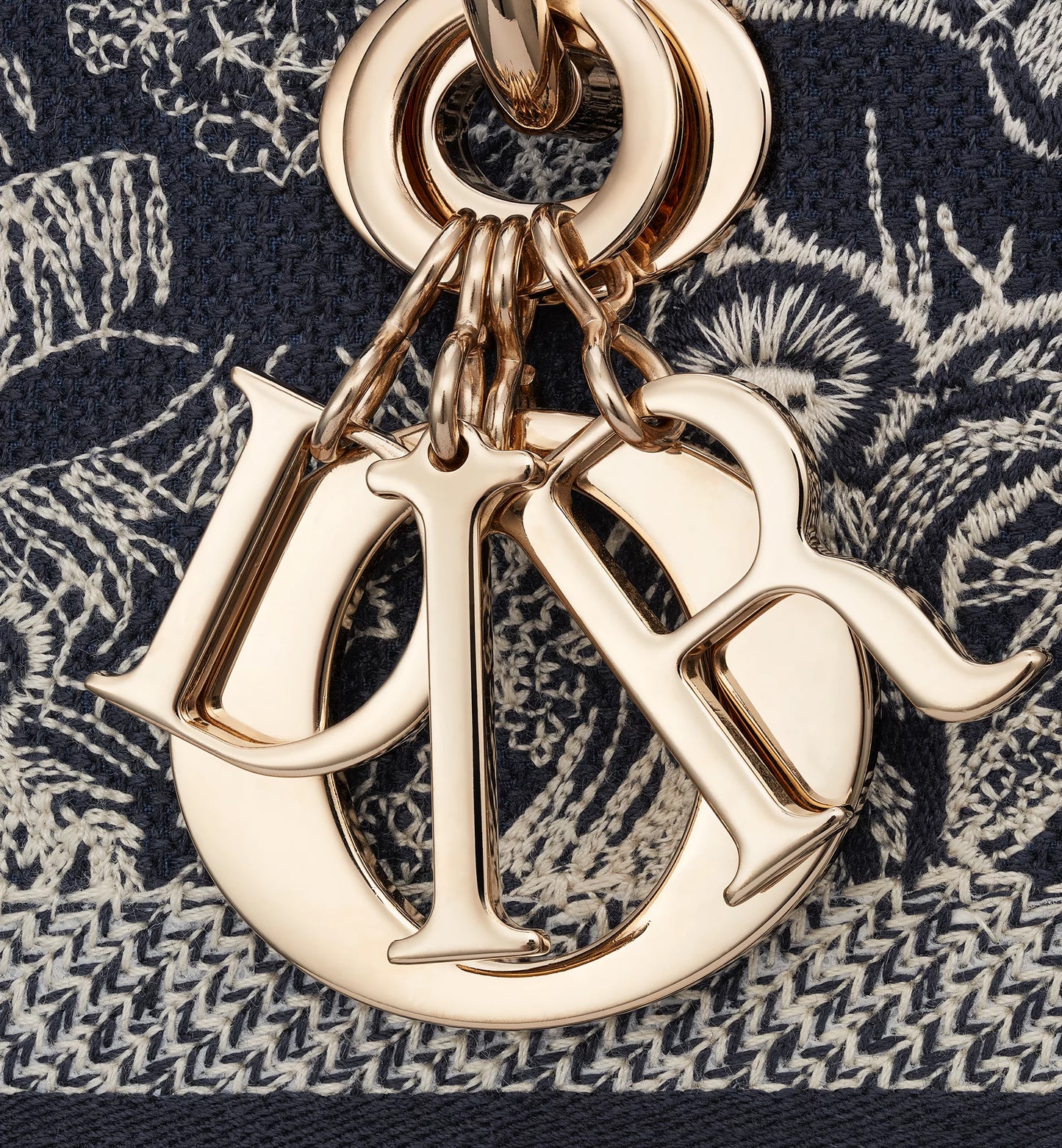 Medium Dior Book Tote Blue