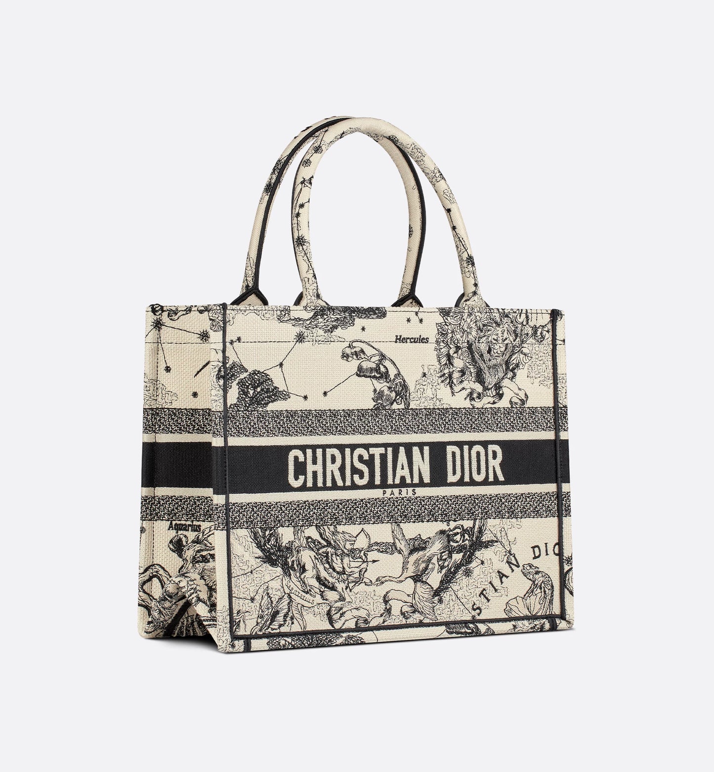 Dior Book Tote Zodiac Latte und Schwarz