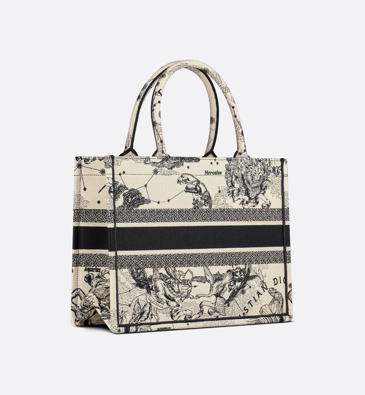 Dior Book Tote Zodiac Latte und Schwarz