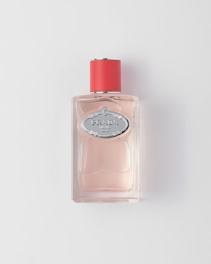 PP Infusion de Rhubarbe EDP 100 ml