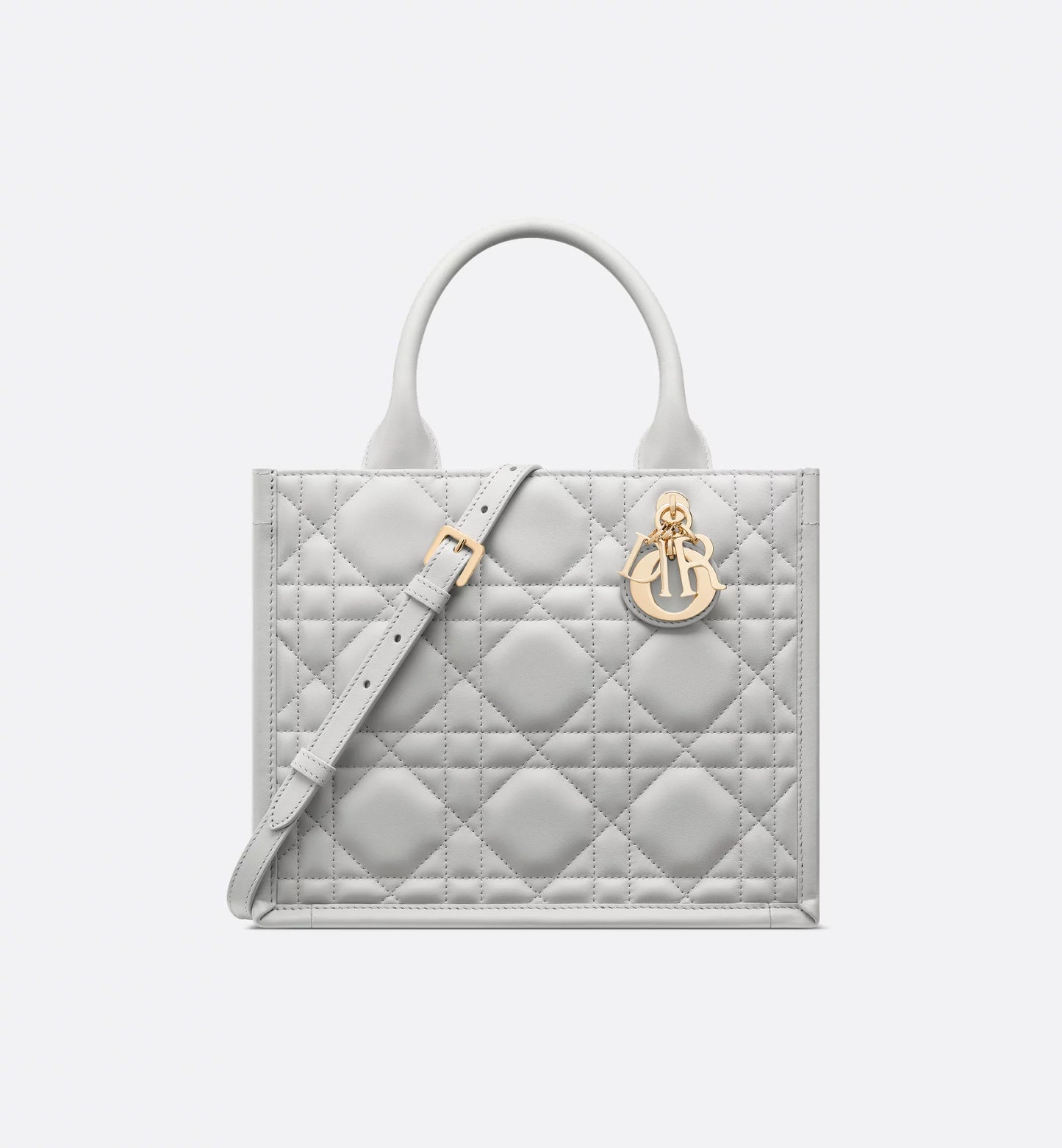 Medium Dior Book Tote Grey