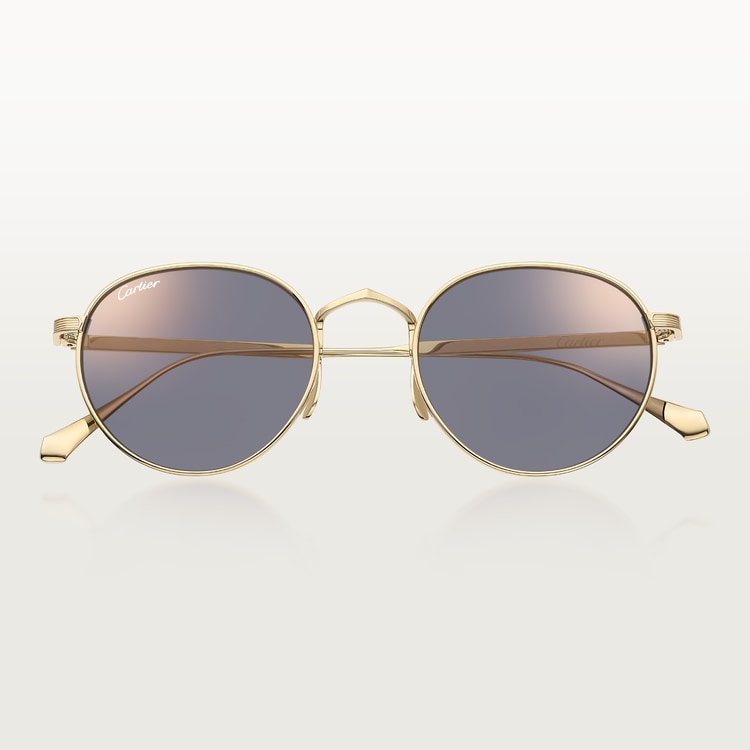 Herren-Sonnenbrille Signature C de CT mit hellgrauen Gläsern