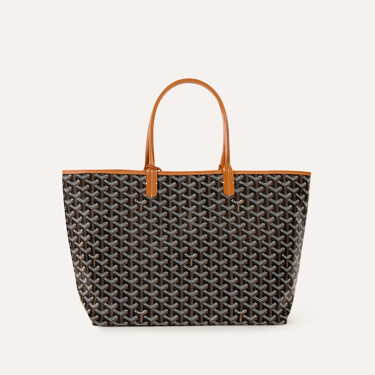 Saint Louis PM Bag Black & Tan
