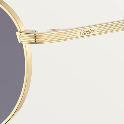 Herren-Sonnenbrille Signature C de CT mit hellgrauen Gläsern
