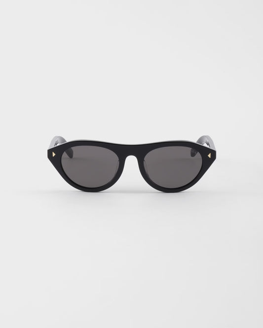 Sunglasses with iconic metal plaque in black