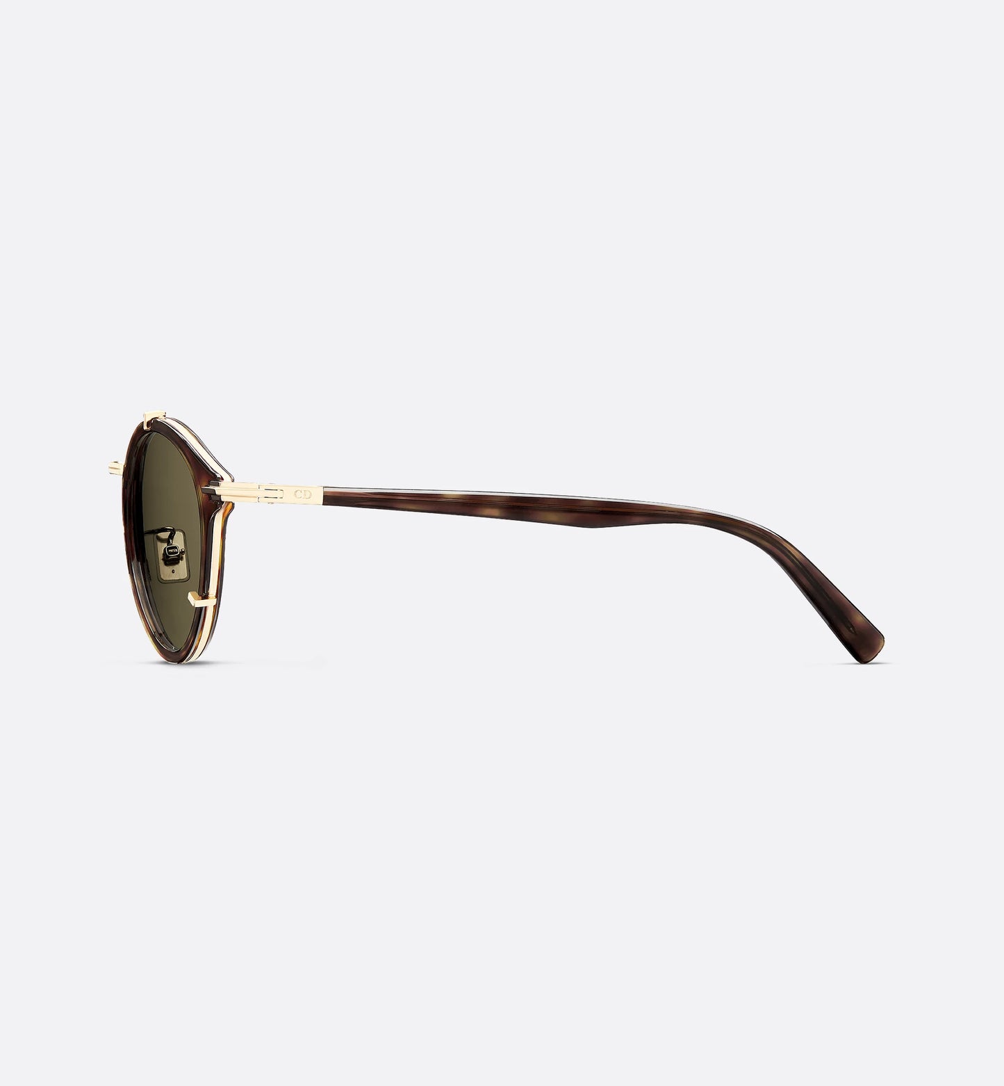 BlackSuit R7U Pantos Sonnenbrille Braun Schildpattoptik Bioacetat Herren