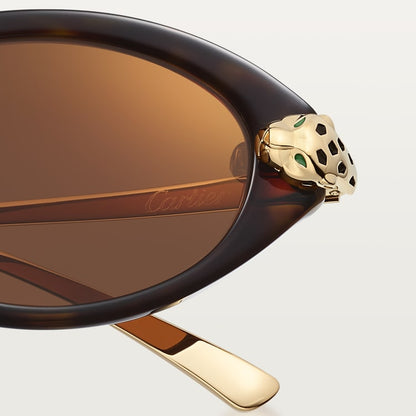 Panthère de CT women's sunglasses in tortoiseshell-effect acetate