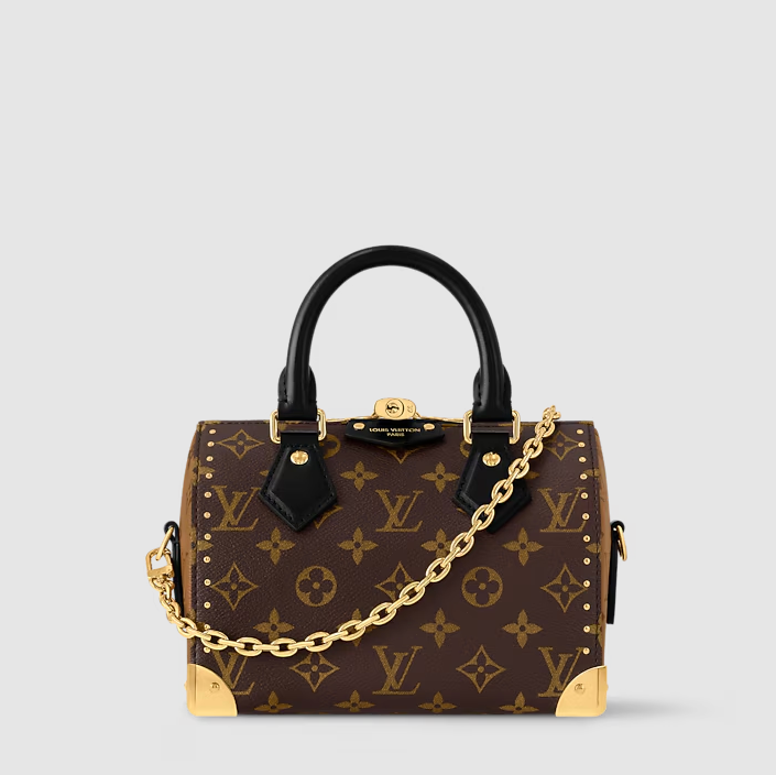 Speedy Trunk 20 Monogram Canvas