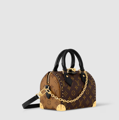 Speedy Trunk 20 Monogram Canvas
