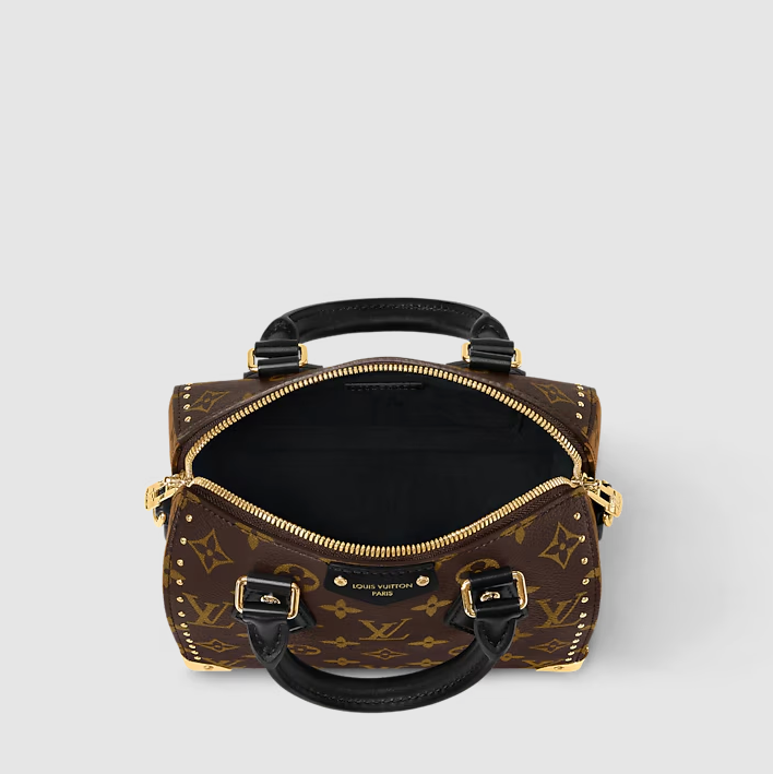Speedy Trunk 20 Monogram Canvas