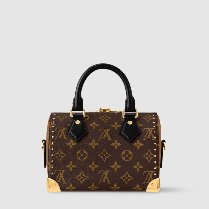 Speedy Trunk 20 Monogram Canvas