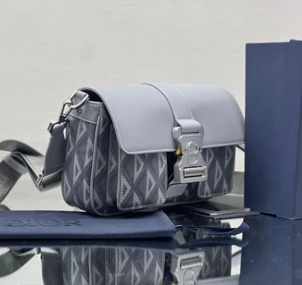 Dior Bag Gray
